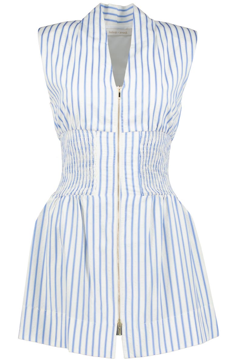 Bishop + Young Serene Zip Front Mini Dress, Alternate, color, Blue Serene Stripe