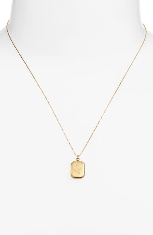 Set & Stones Audrey Birth Flower Pendant Necklace In Gold