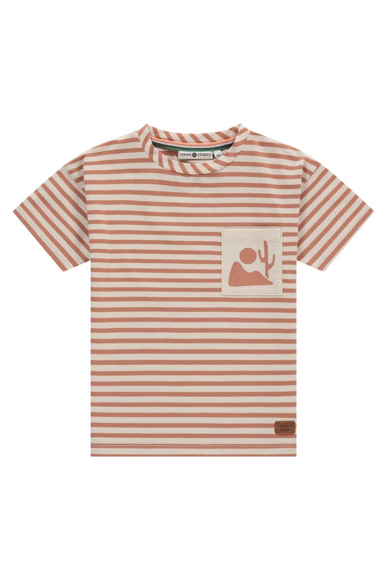 Striped Short Sleeve T-Shirt With Pocket Accent, Main, color, Canyon