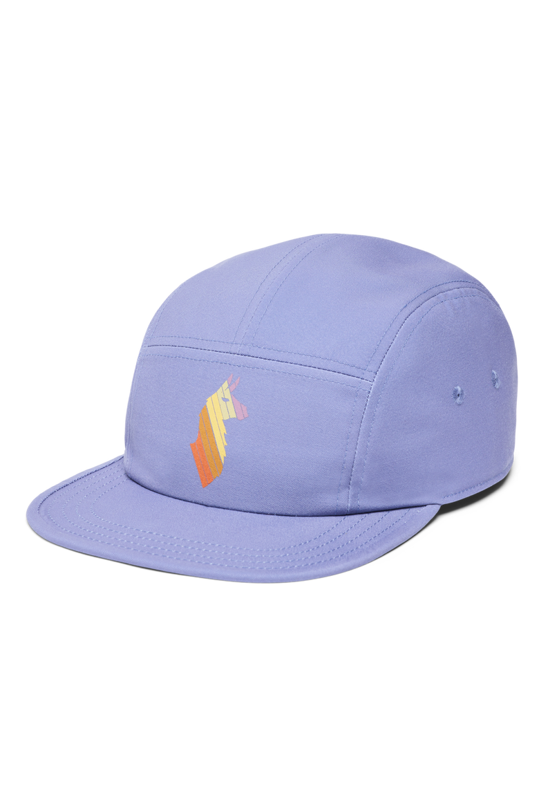 Llama Stripes 5-Panel Hat, Main, color, Blue Smoke