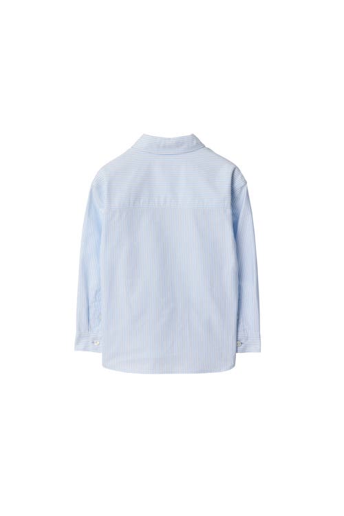 Burberry Striped Cotton Oxford Shirt In Blue