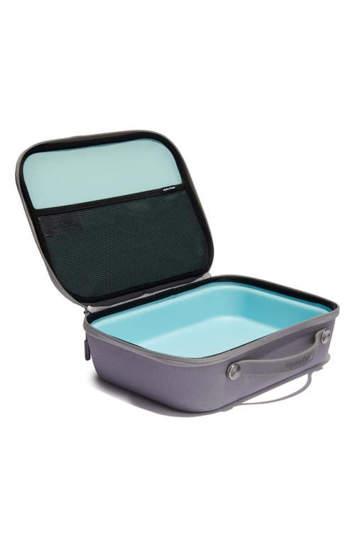 Hydro Flask Large Insulated Lunch Box In Peppercorn
