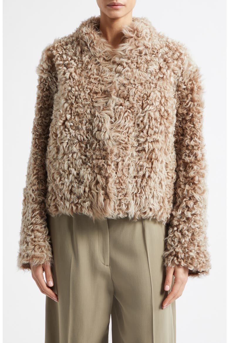 Mooneyforest Vega Genuine Shearling Jacket, Main, color, CAMEL