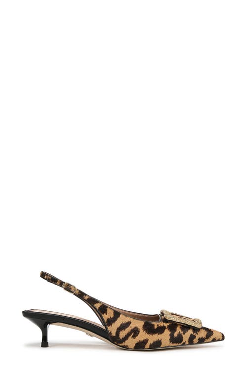 Shop Sam Edelman Kammie Slingback Pointed Toe Kitten Heel Pump In Cyrpus Tan Multi