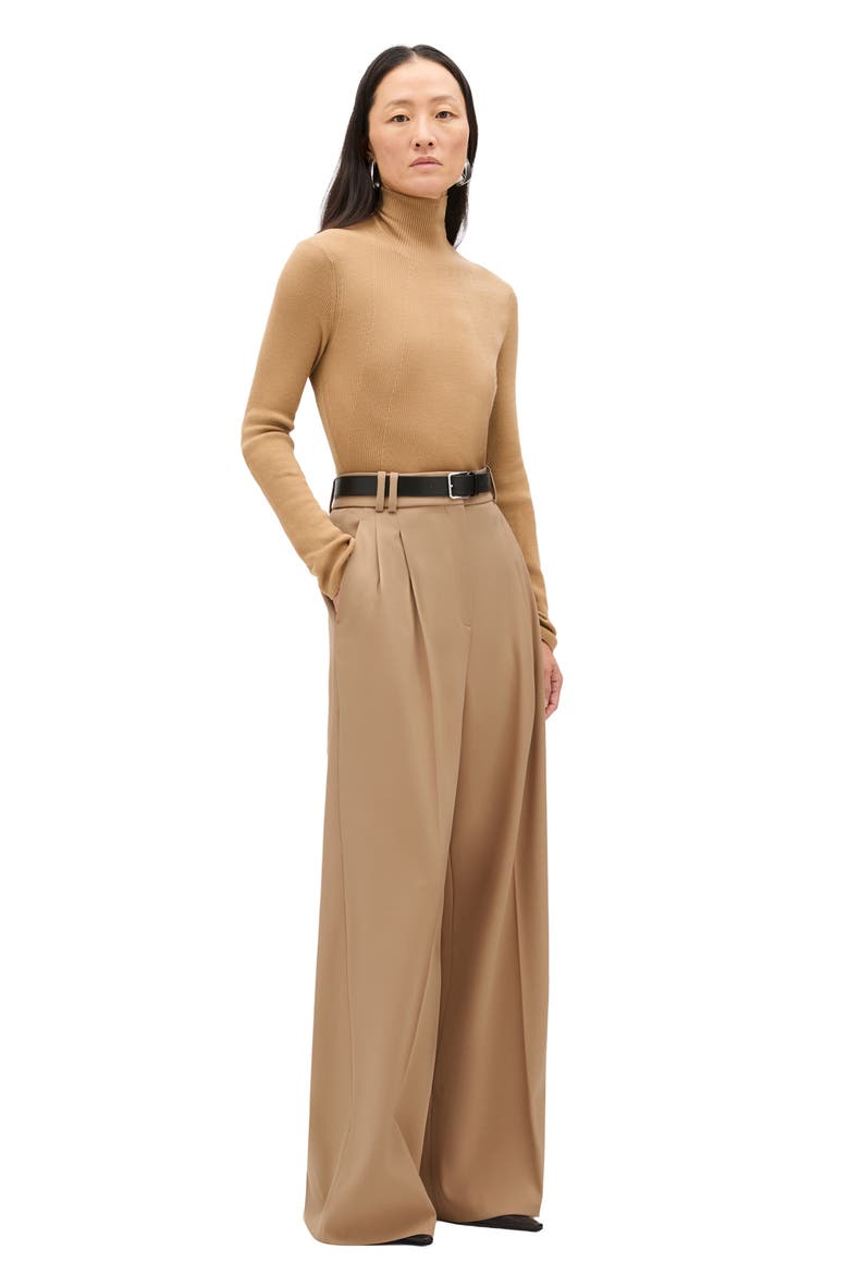 Twill Pleated Trouser, Alternate, color, Camel