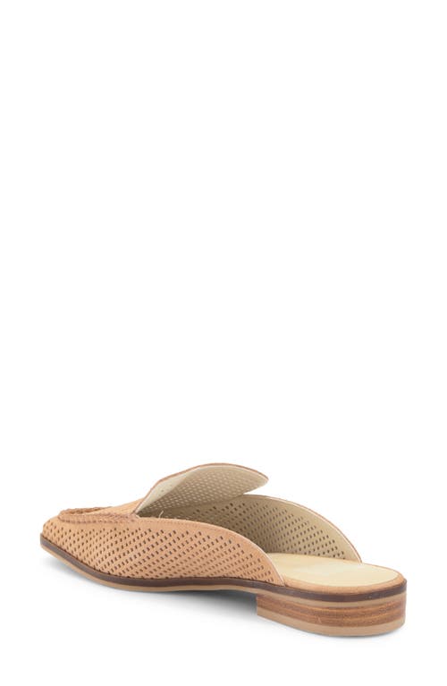 Dolce Vita Icarus Womens Slide Slip On Mules In Rose Perforated Suede