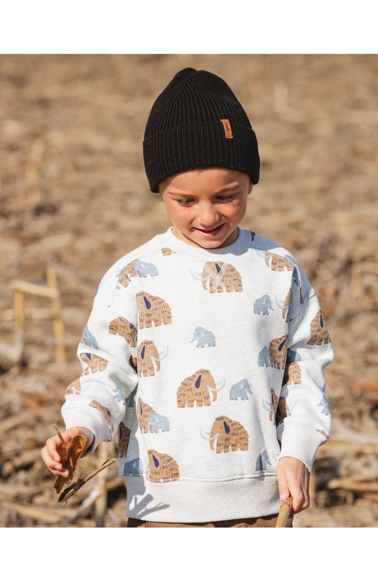 Deux par Deux Long Sleeve Crew Neck Fleece Sweatshirt Mammoth, Alternate, color, 