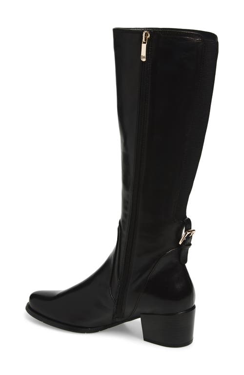Regarde Le Ciel Jolene Knee High Boot In Black