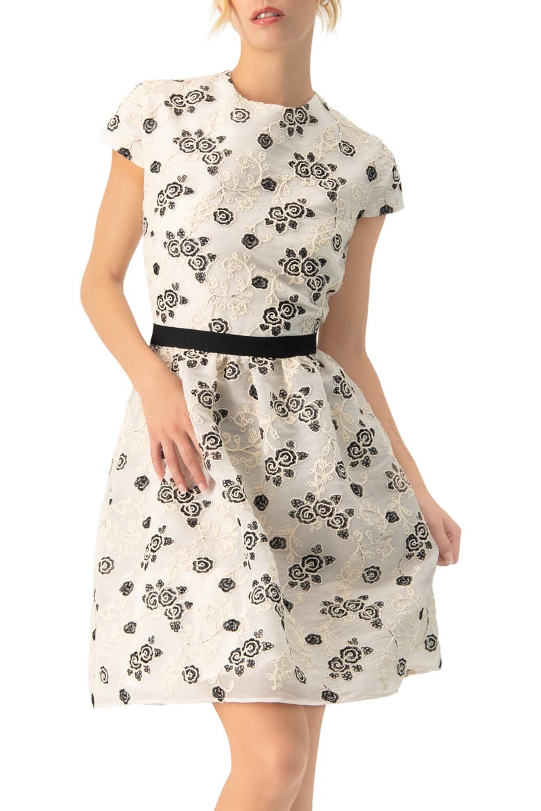 Floral Embroidered Short A-Line Dress, Main, color, Natural