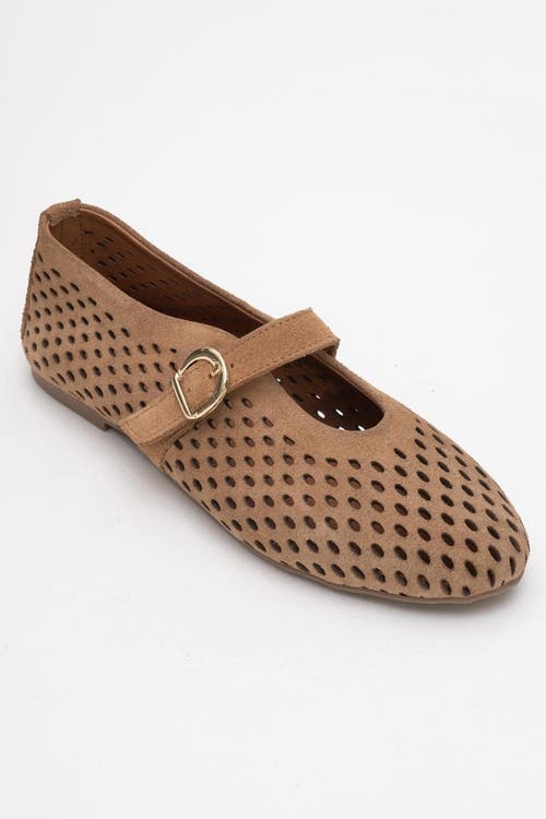 Forever & Always Shoes Arian Leather Ballet Flat In Brown