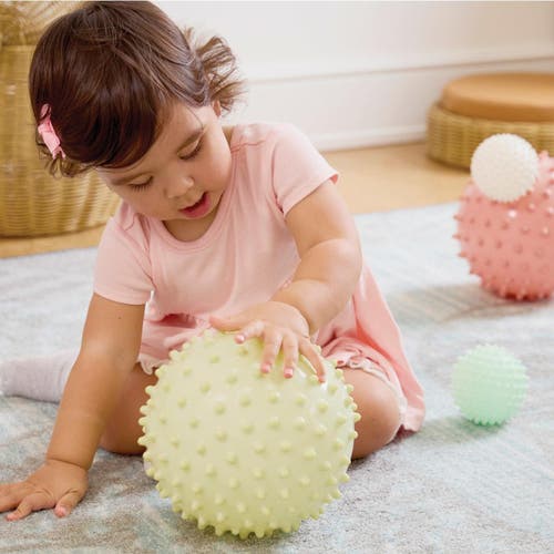 Kaplan Early Learning Company Sensory Balls In Multi