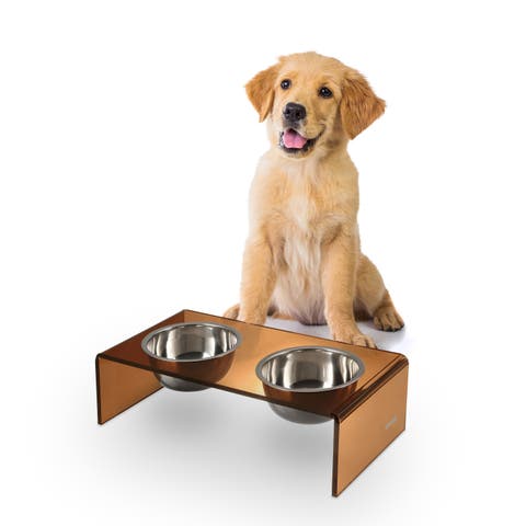 Keaton Modern Lucite Rectangular Elevated Pet Feeder with 2-Stainless Steel Bowls
