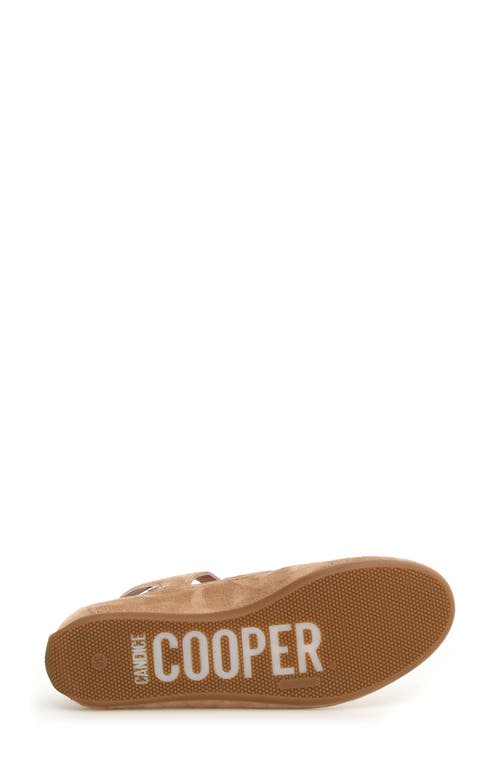 Candice Cooper Rock T-bar Fisherman Sandal In Cappuccino