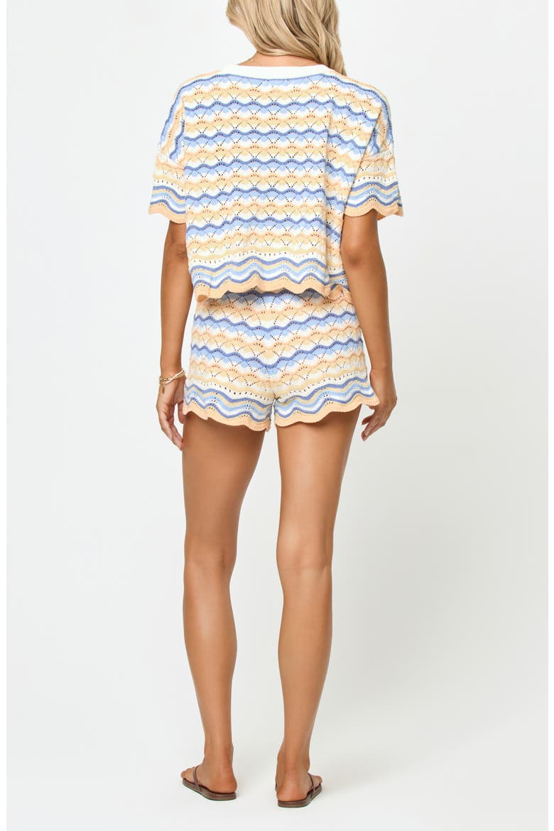 Sun Chaser Stripe Cotton Cover-Up Shorts, Alternate, color, DAYDREAMER