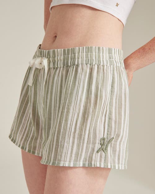 Nudea The Classic Boxer In Sage Stripe