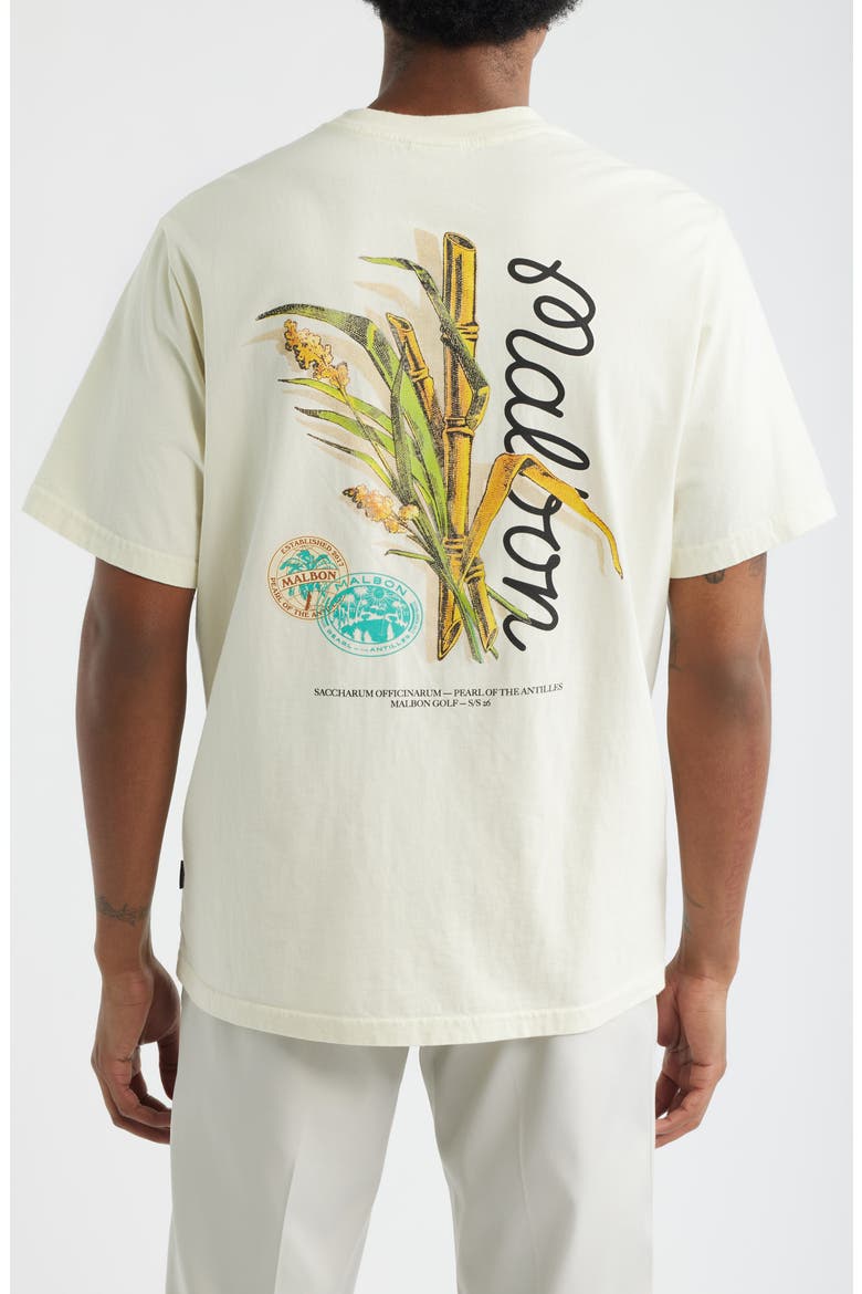 Bermuda Origin Graphic T-Shirt, Alternate, color, CREAM