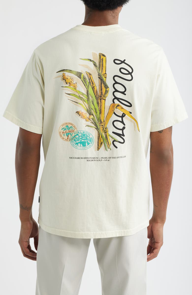 Malbon Golf Bermuda Origin Graphic T-Shirt, Alternate, color, Cream