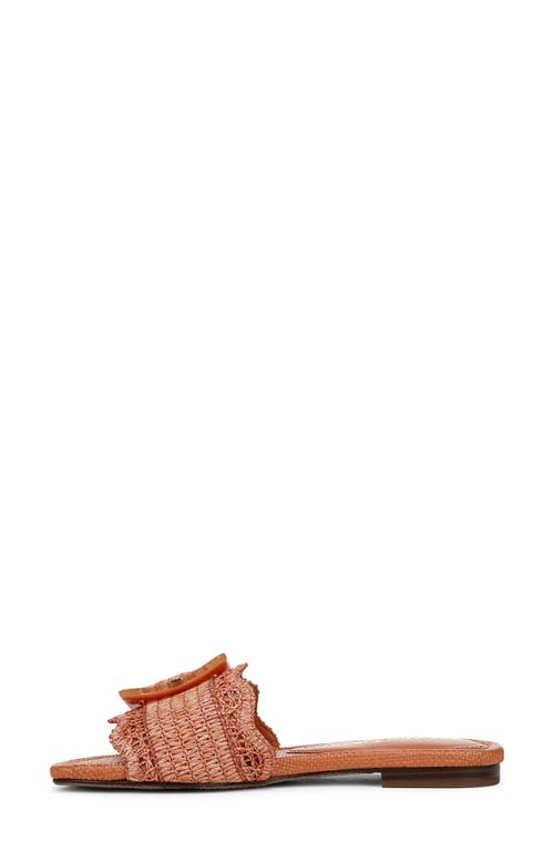 SAM EDELMAN SAM EDELMAN BAMBI RAFFIA BUCKLE SLIDE SANDAL 