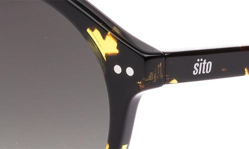 Sito Shades Dixon Polar 52mm Round Sunglasses