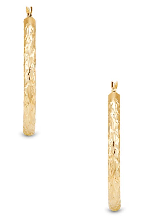Frankie & Zoe Oval Hoop Earrings In Gold