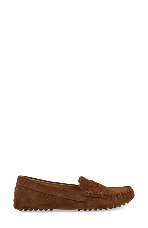 National Comfort Talulah Penny Loafer In Brown