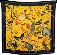 Muzaluci Scarf Butterfly 1