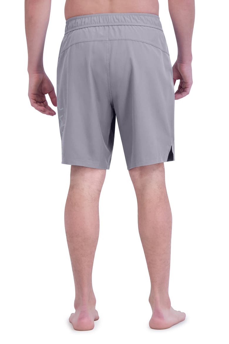 Board Shorts, Alternate, color, DUST
