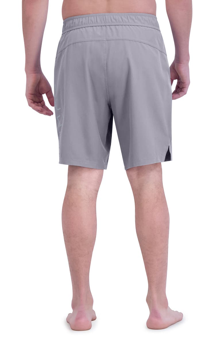 Spyder Board Shorts, Alternate, color, Dust