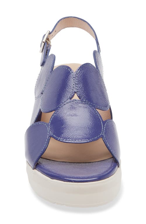 Wonders Platform Sandal In Lack Dusk