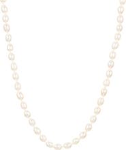 Adina Reyter Freshwater Pearl Necklace
