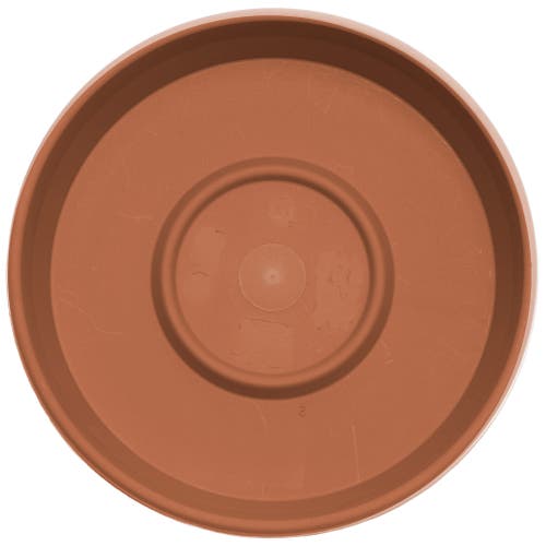 Bloem Terra 14.75 Inch Resin Saucer In Brown