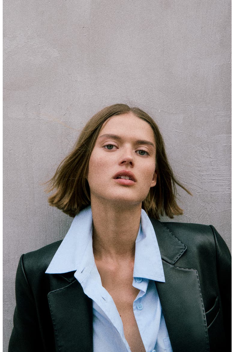 Ash Leather Blazer, Alternate, color, BLACK
