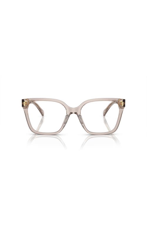 Ralph 53mm Square Optical Glasses In Neutral