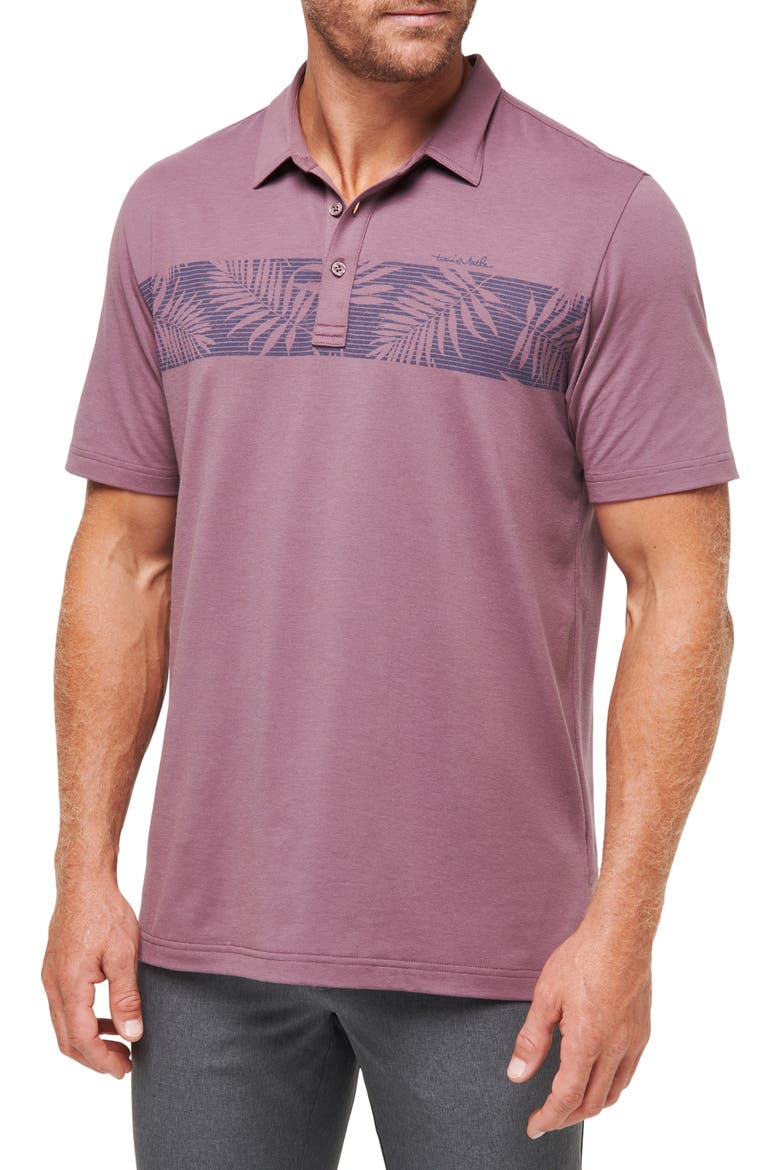The Heather Localism Leaf Stripe Golf Polo, Main, color, FLINT
