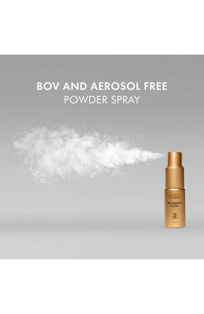NUELE Clean Essentials Dry Shampoo 1oz, Alternate, color, NO COLOR
