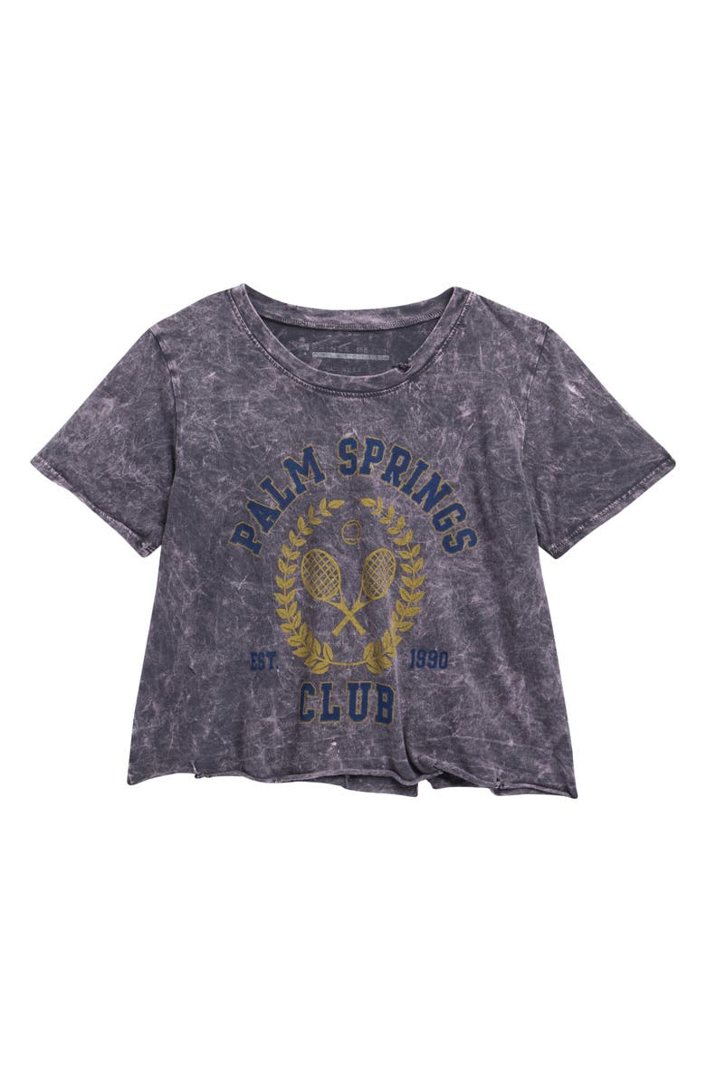 Prince Peter Palm Springs Club Graphic T-Shirt, Main, color, Charcoal