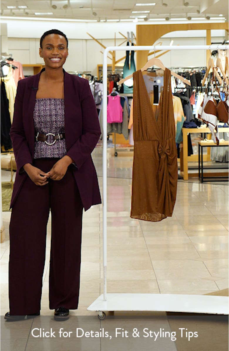 Karina Semisheer Stretch Mesh Cover-Up Minidress, sales video thumbnail