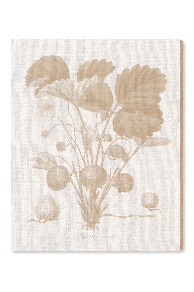 Fraisier II Canvas Wall Art, Main, color, WHITE