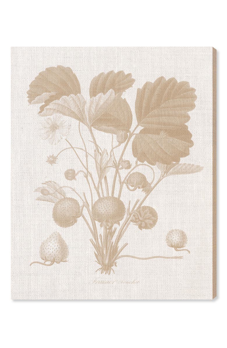 Oliver Gal Fraisier II Canvas Wall Art, Main, color, 