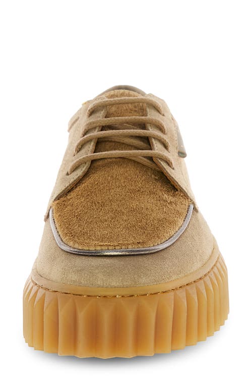 Voile Blanche Londoner Genuine Calf Hair Platform Derby In Brown