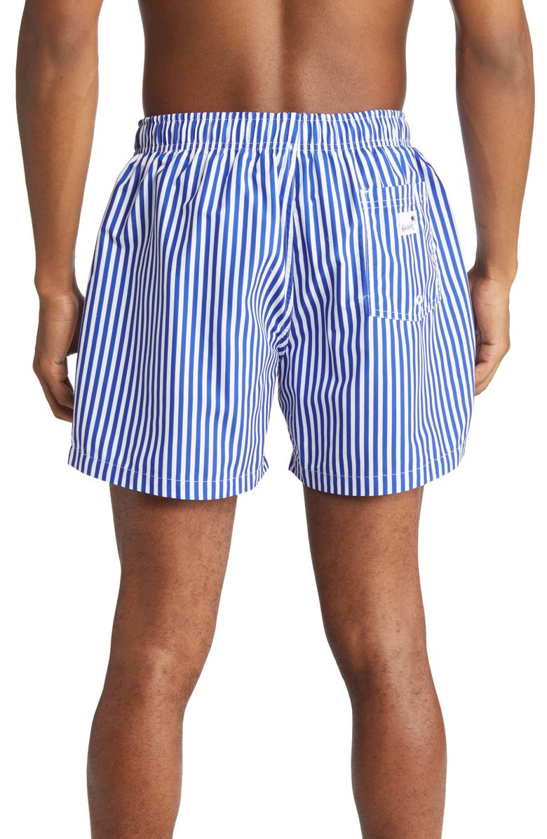 Boardies Stripe Deck Swim Trunks, Alternate, color,
