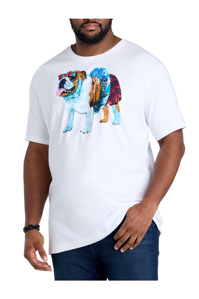 Big & Tall  Pool Day Graphic Tee, Main, color, WHITE