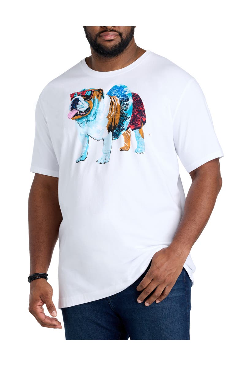 Robert Graham DXL Big & Tall  Pool Day Graphic Tee, Main, color, White