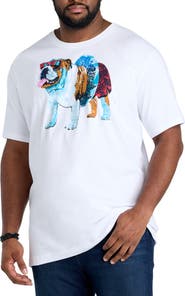 Robert Graham DXL Big & Tall  Pool Day Graphic Tee