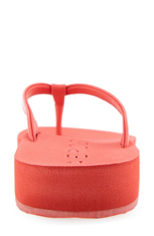 AEROSOLES AEROSOLES JACE FLIP FLOP 