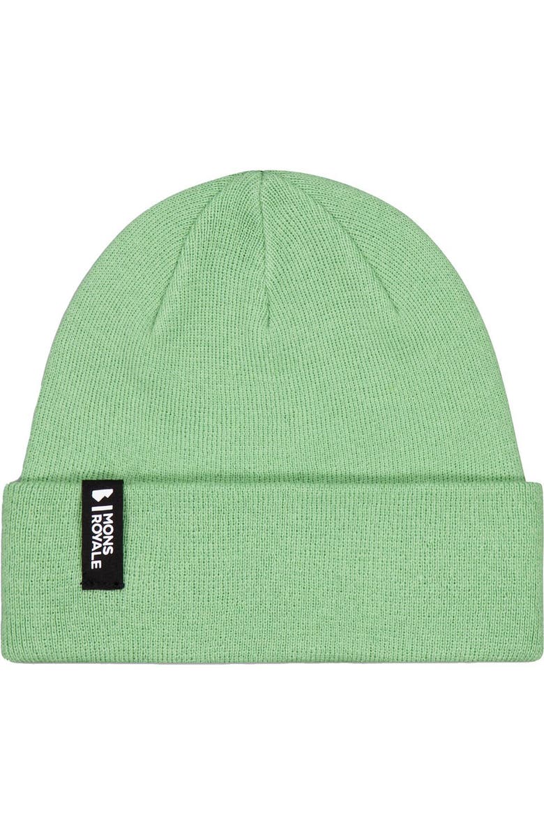 Mons Royale Mccloud Merino Beanie, Main, color, Matcha