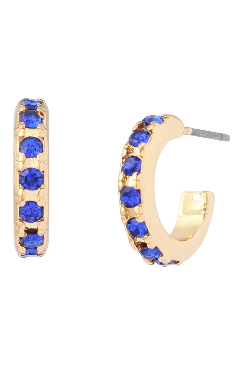Stone Huggie Hoop Earrings, Main, color, BLUE