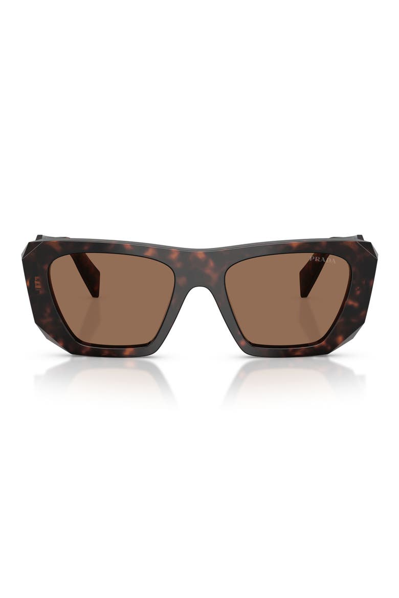 53mm Square Sunglasses, Main, color, ROOT TORTOISE / DARK BROWN