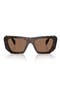  Root Tortoise / Dark Brown