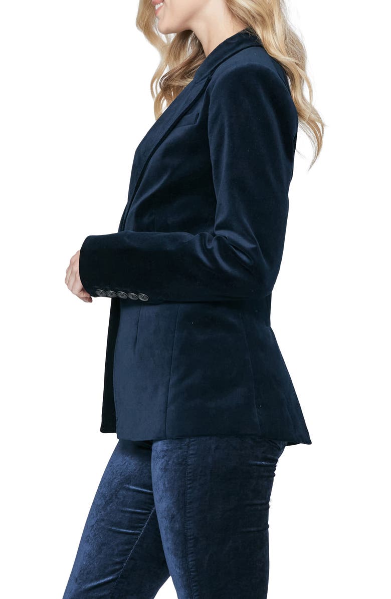 PAIGE Chelsee Stretch Velvet Blazer, Alternate, color, 